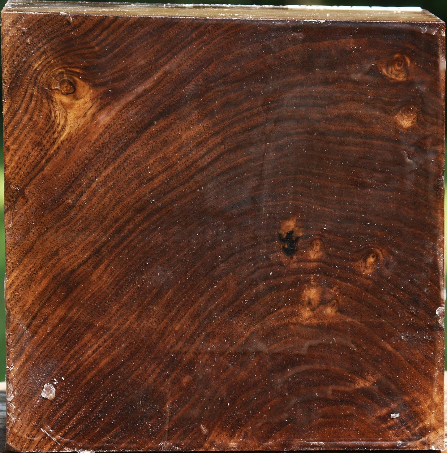 Claro Walnut Bowl Blank