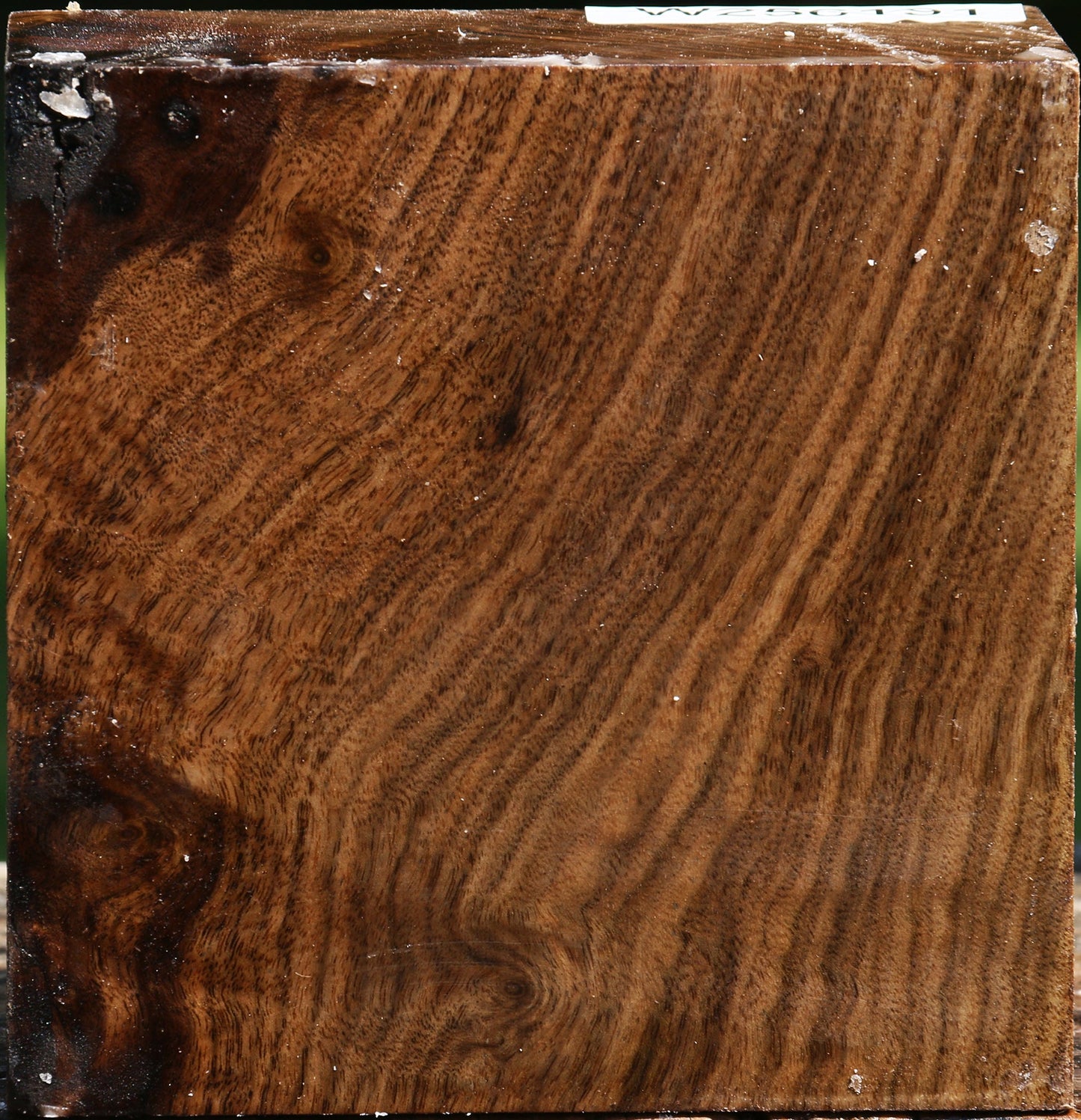 Figured Claro Walnut Bowl Blank