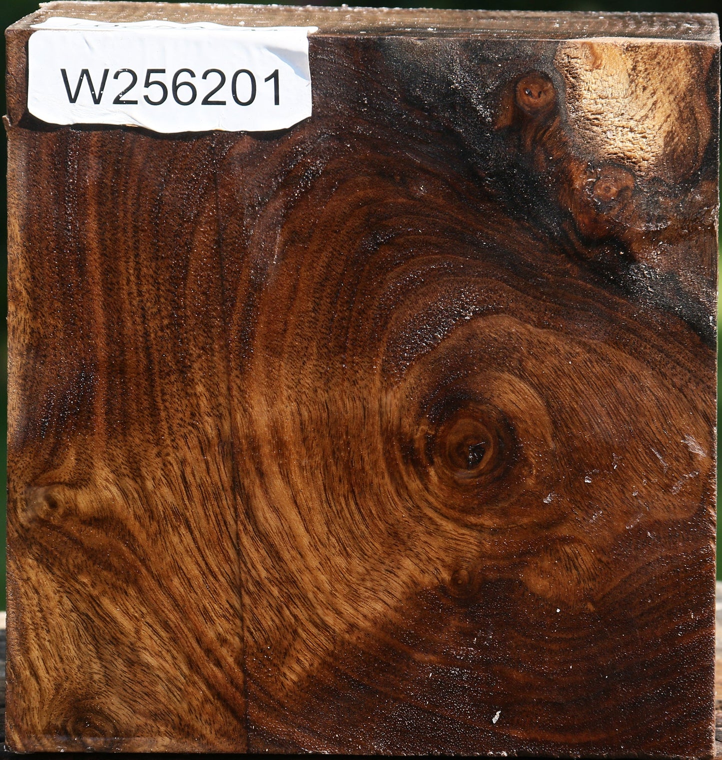 Figured Claro Walnut Bowl Blank