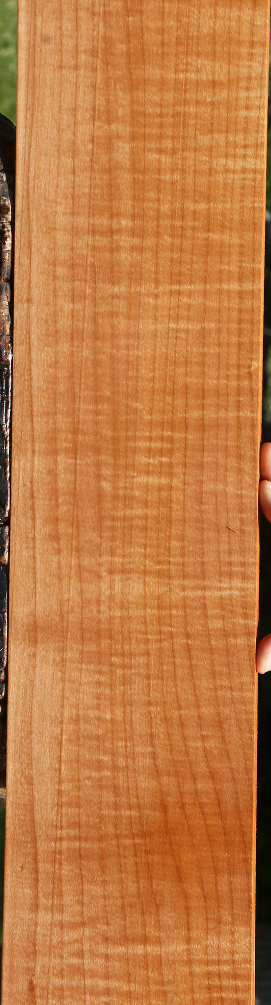 Extra Fancy Maple Lumber