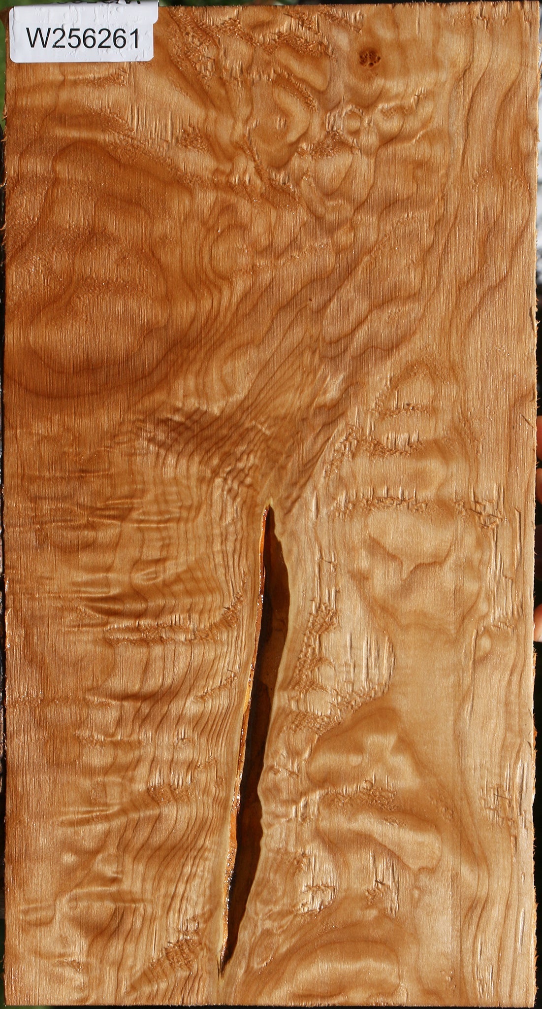 Extra Fancy Quilted Rustic Maple Micro Lumber