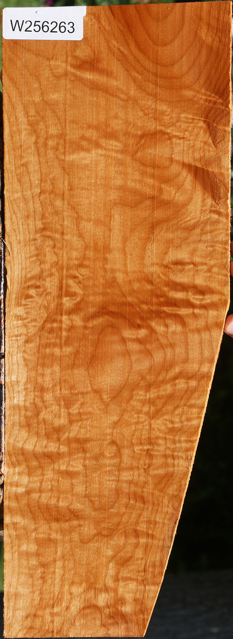 Extra Fancy Maple Lumber