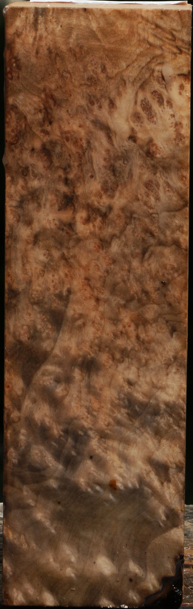 Madrone Burl Peppermill