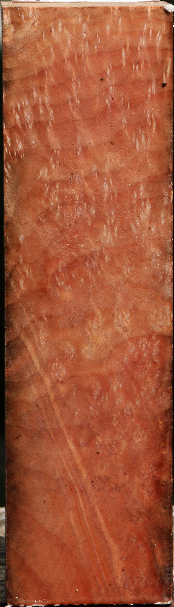 Madrone Burl Peppermill