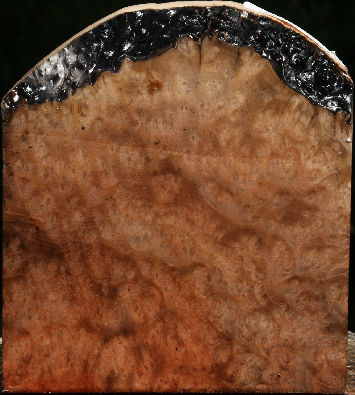Madrone Burl Turning Blank