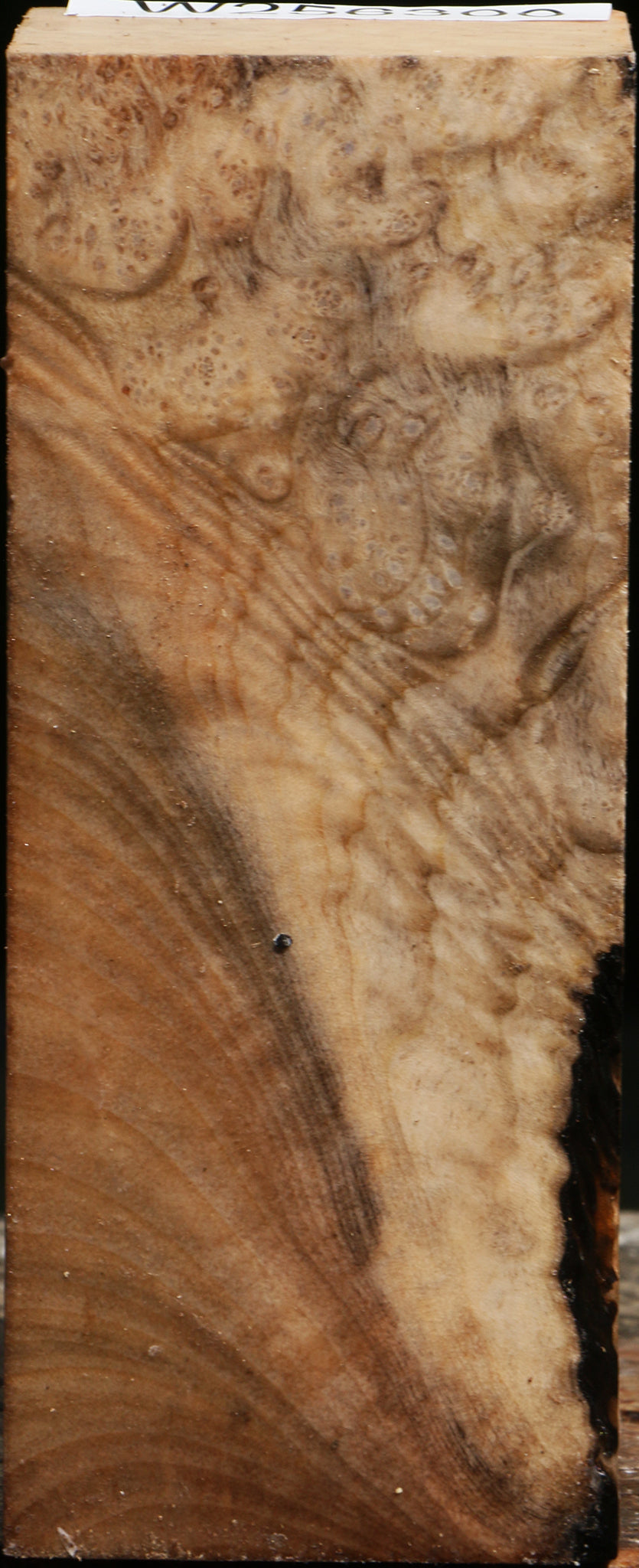 Figured Madrone Turning Square