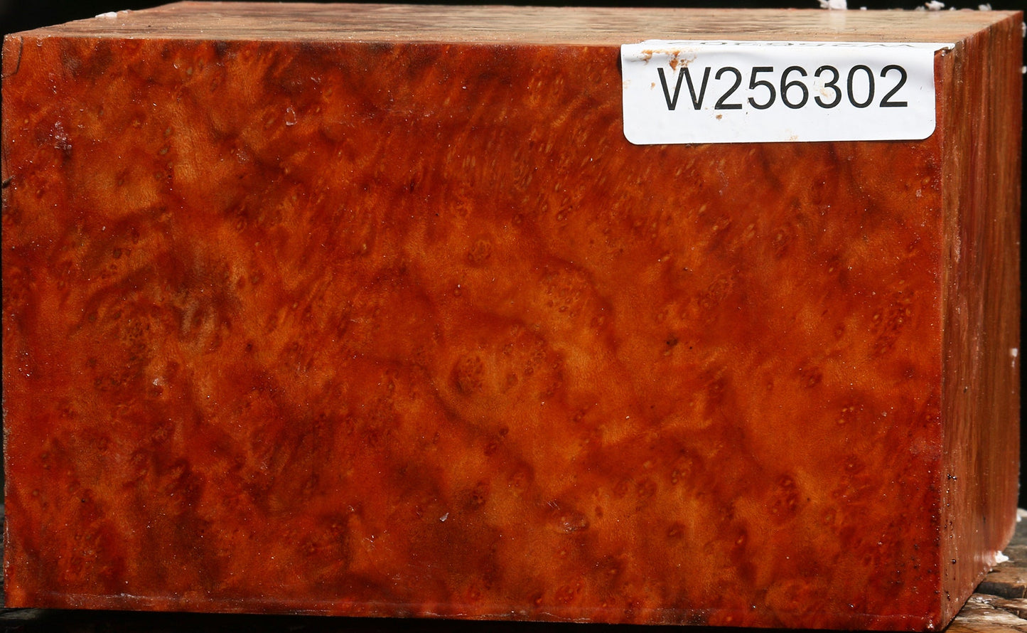 Madrone Burl Bowl Blank