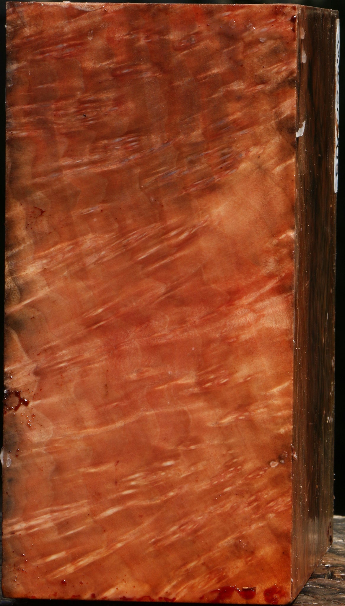 Madrone Burl Bowl Blank