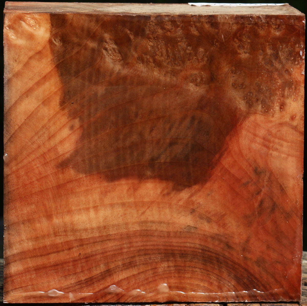 Figured Madrone Bowl Blank