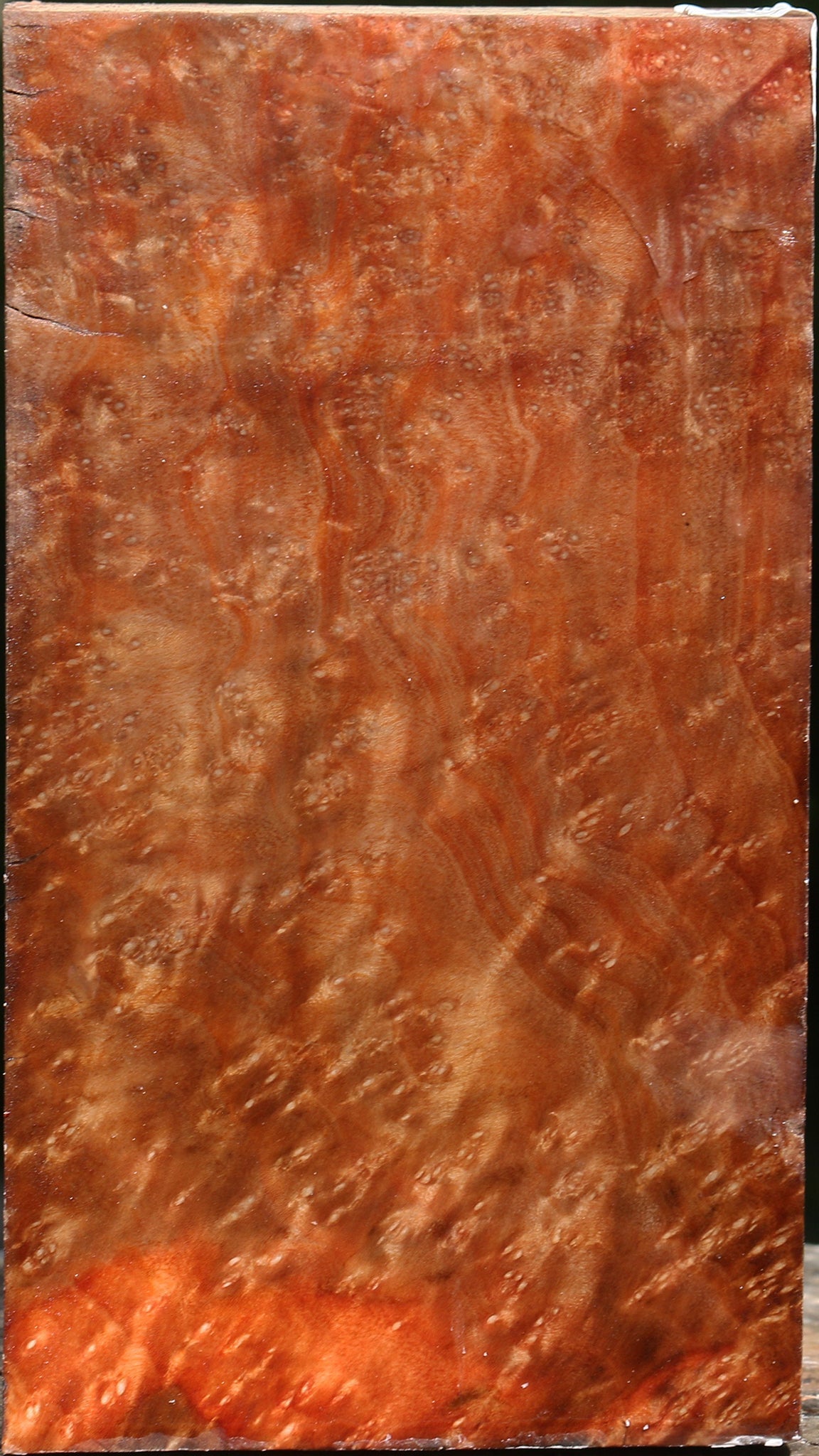 Madrone Burl Vessel Blank