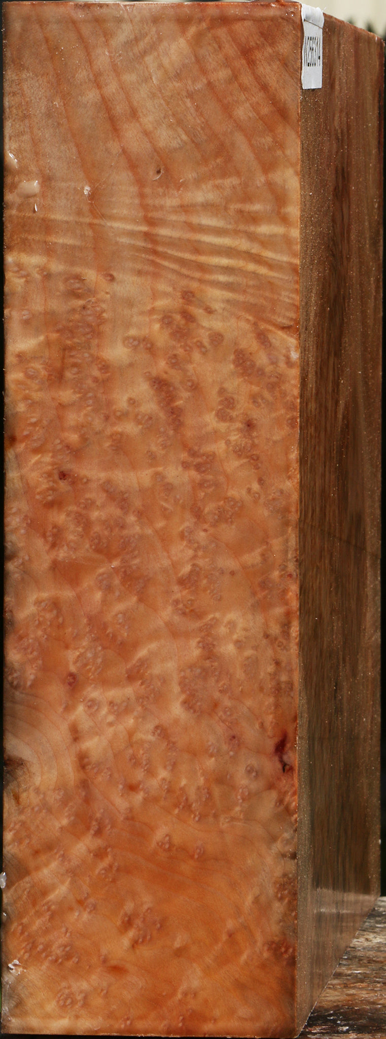 Madrone Burl Bowl Blank