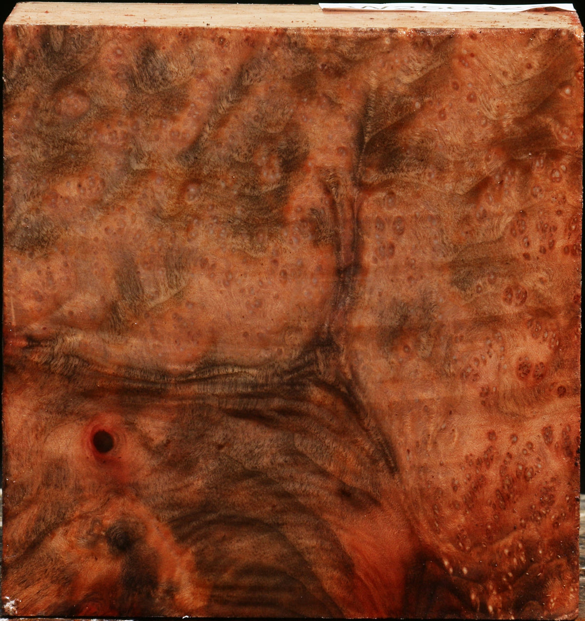 Madrone Burl Bowl Blank