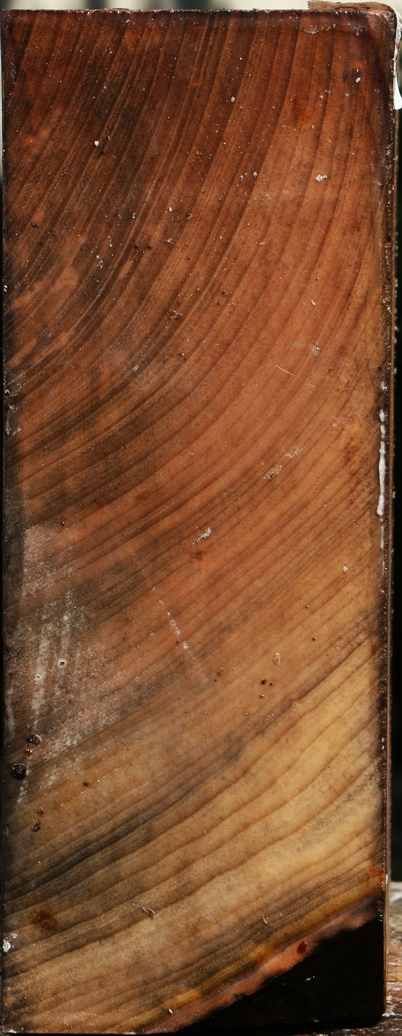 Madrone Bowl Blank