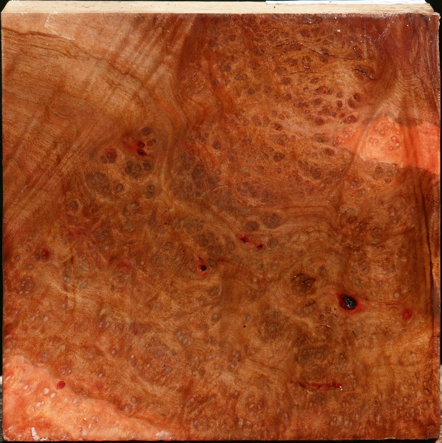 Madrone Burl Bowl Blank