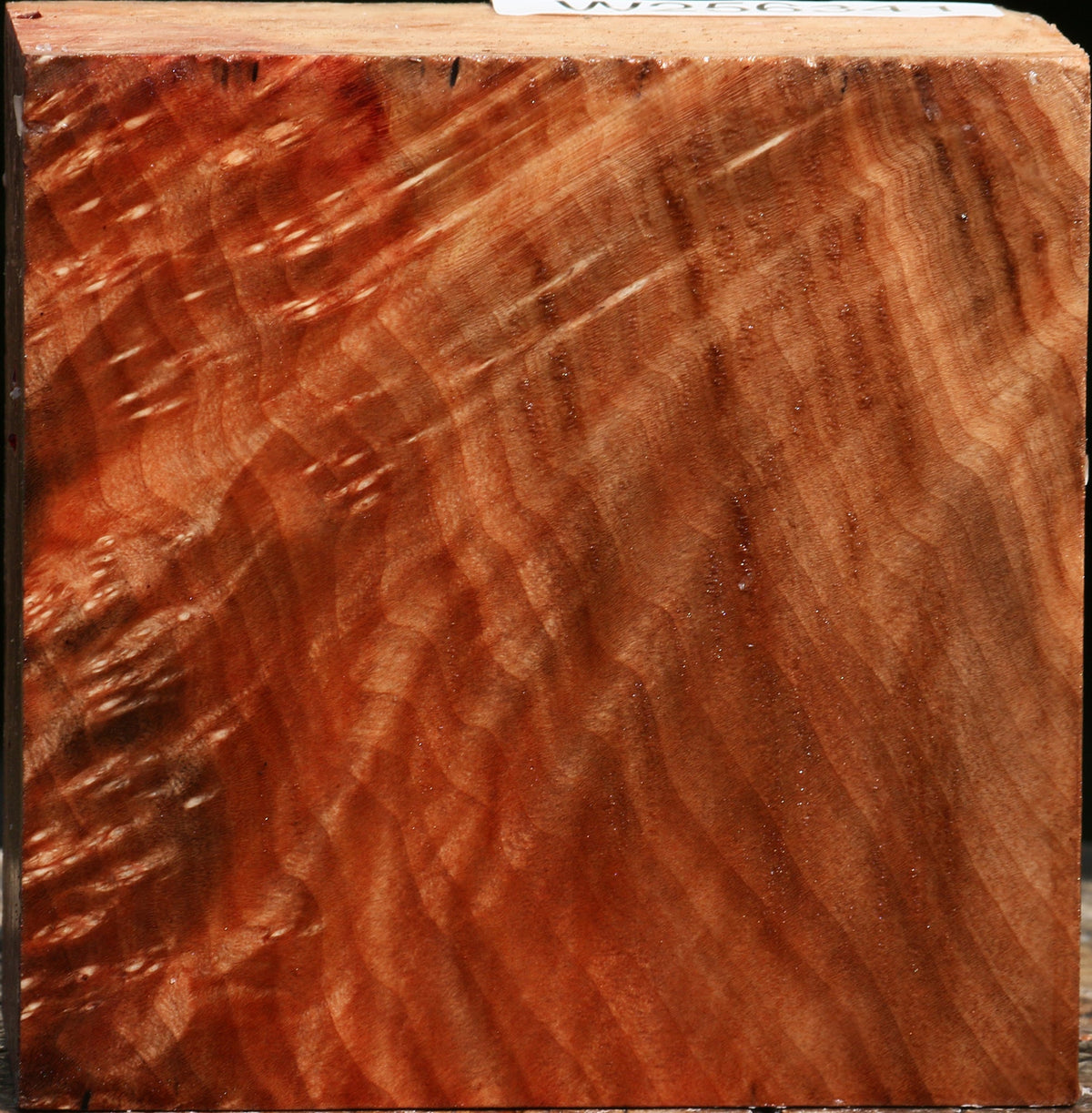Madrone Burl Bowl Blank