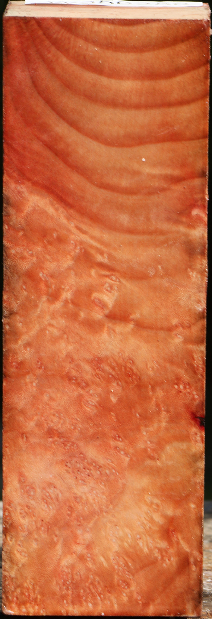 Madrone Burl Turning Square