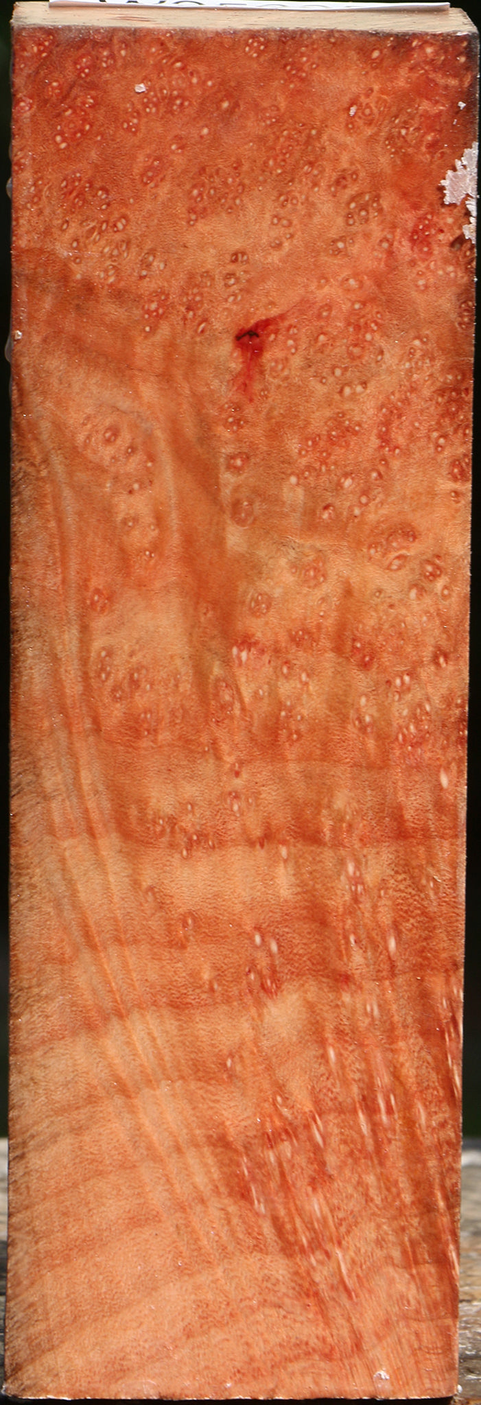 Madrone Burl Turning Square