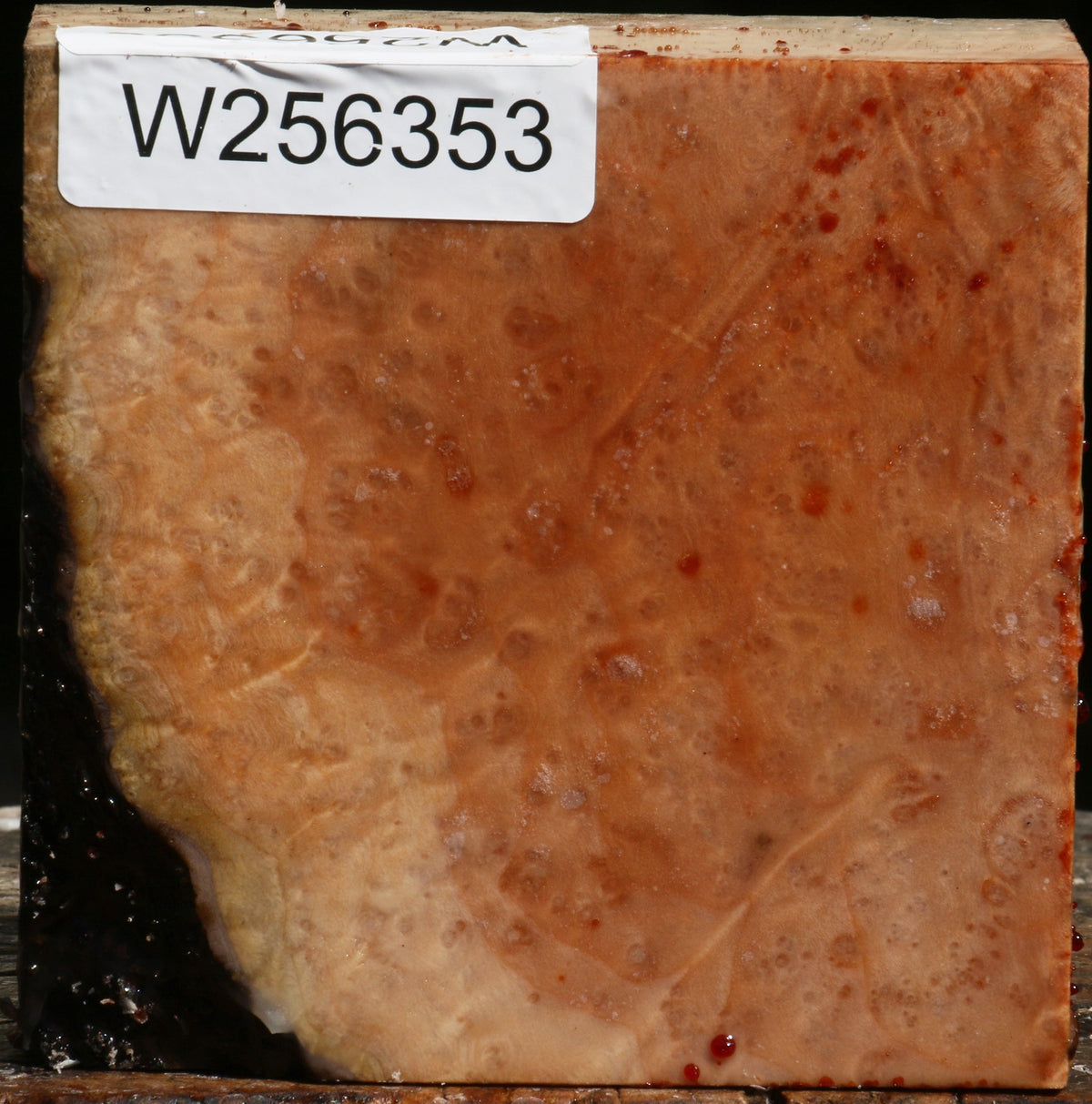 Madrone Burl Bowl Blank
