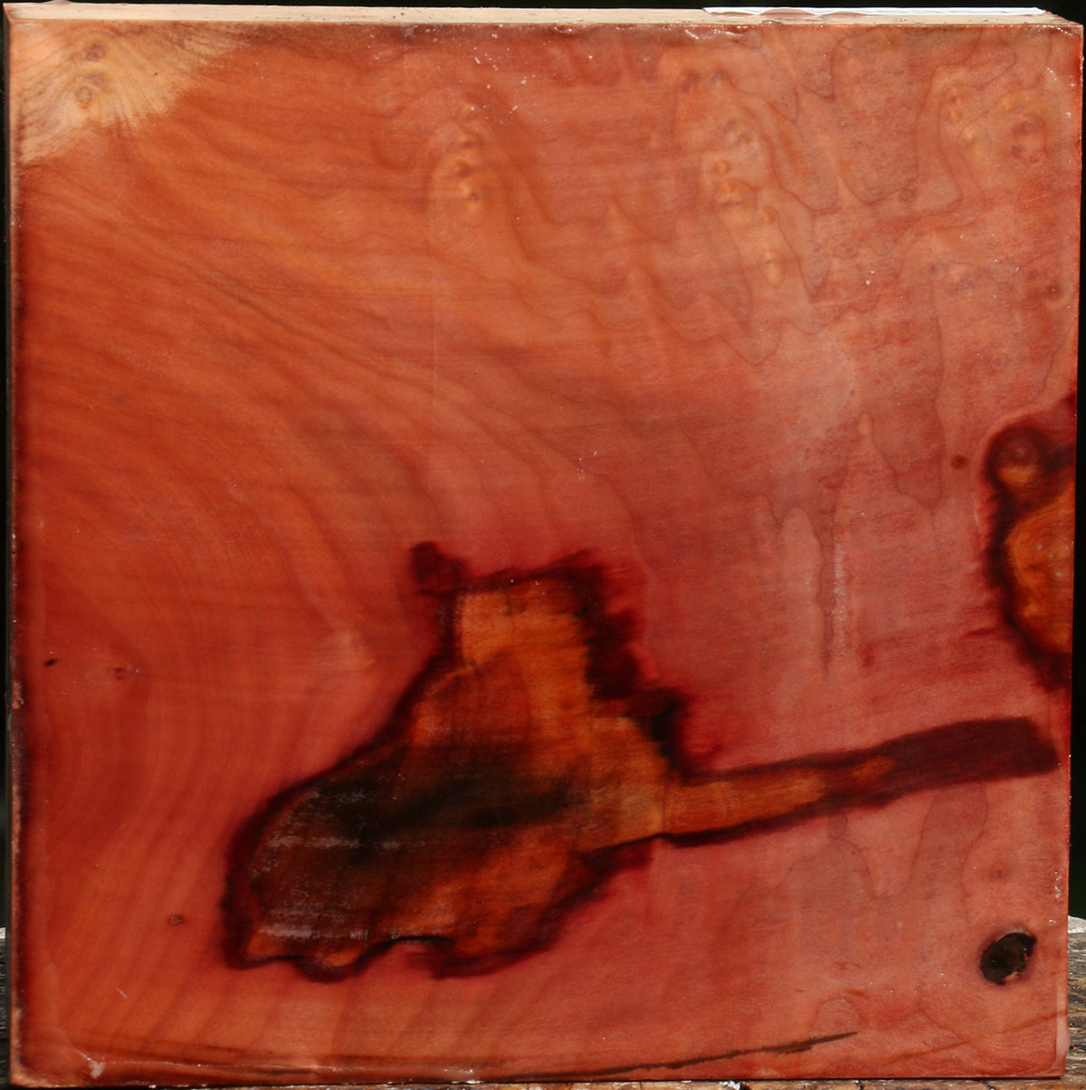 Figured Madrone Bowl Blank