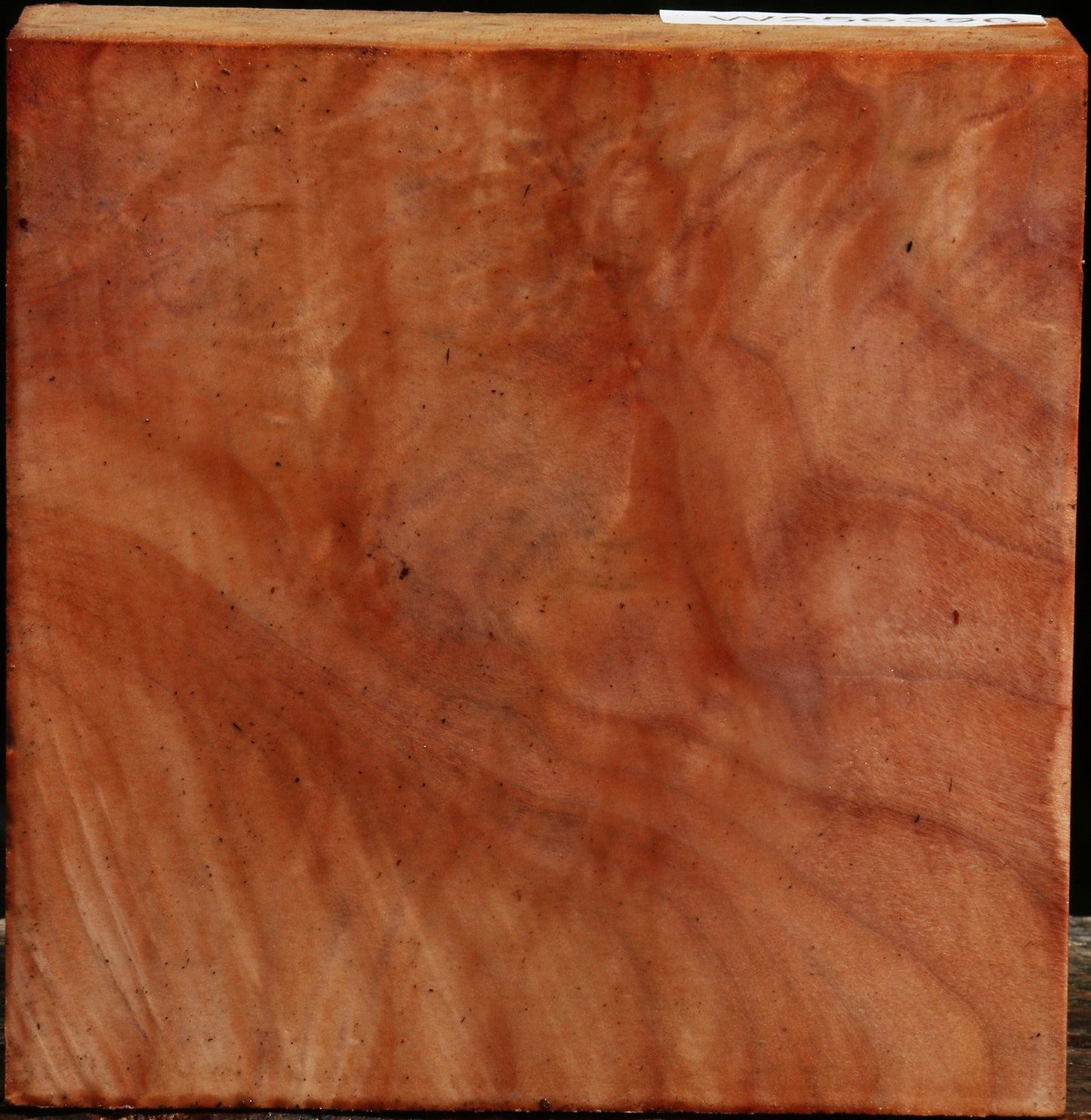 Figured Madrone Bowl Blank