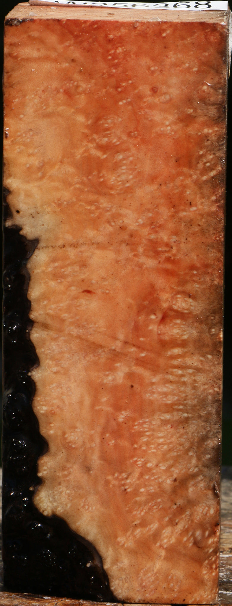 Madrone Burl Turning Square