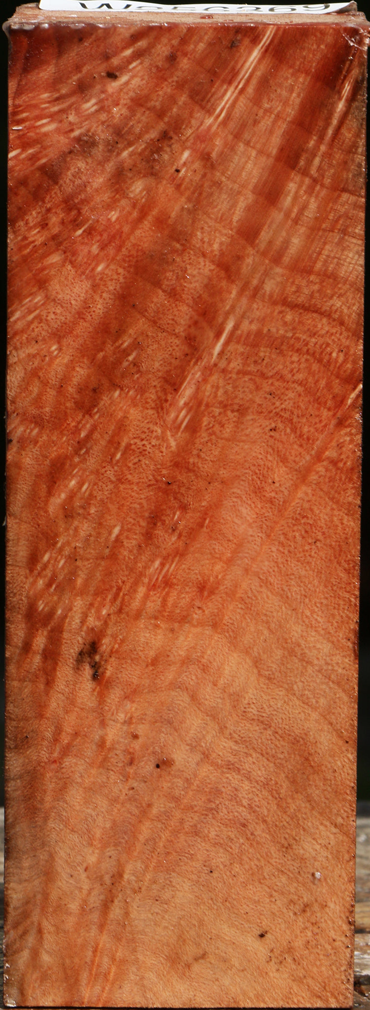 Extra Fancy Madrone Burl Turning Square