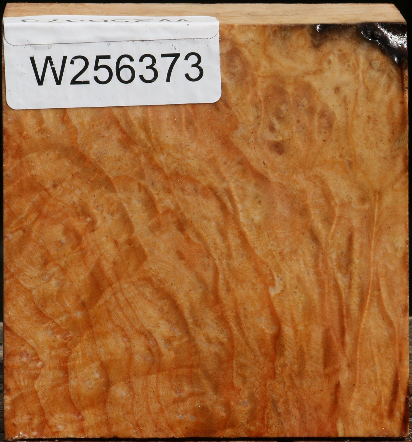 Madrone Burl Bowl Blank