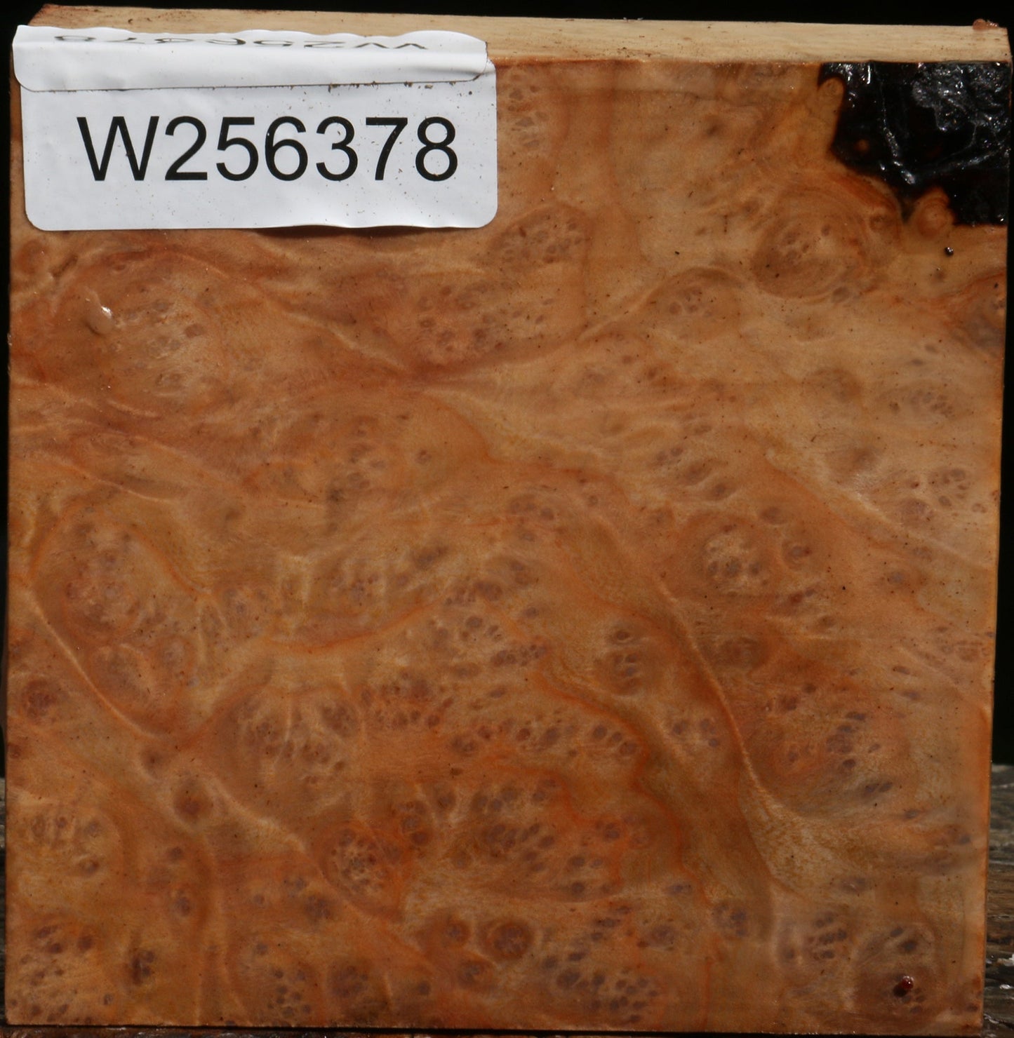 Madrone Burl Bowl Blank