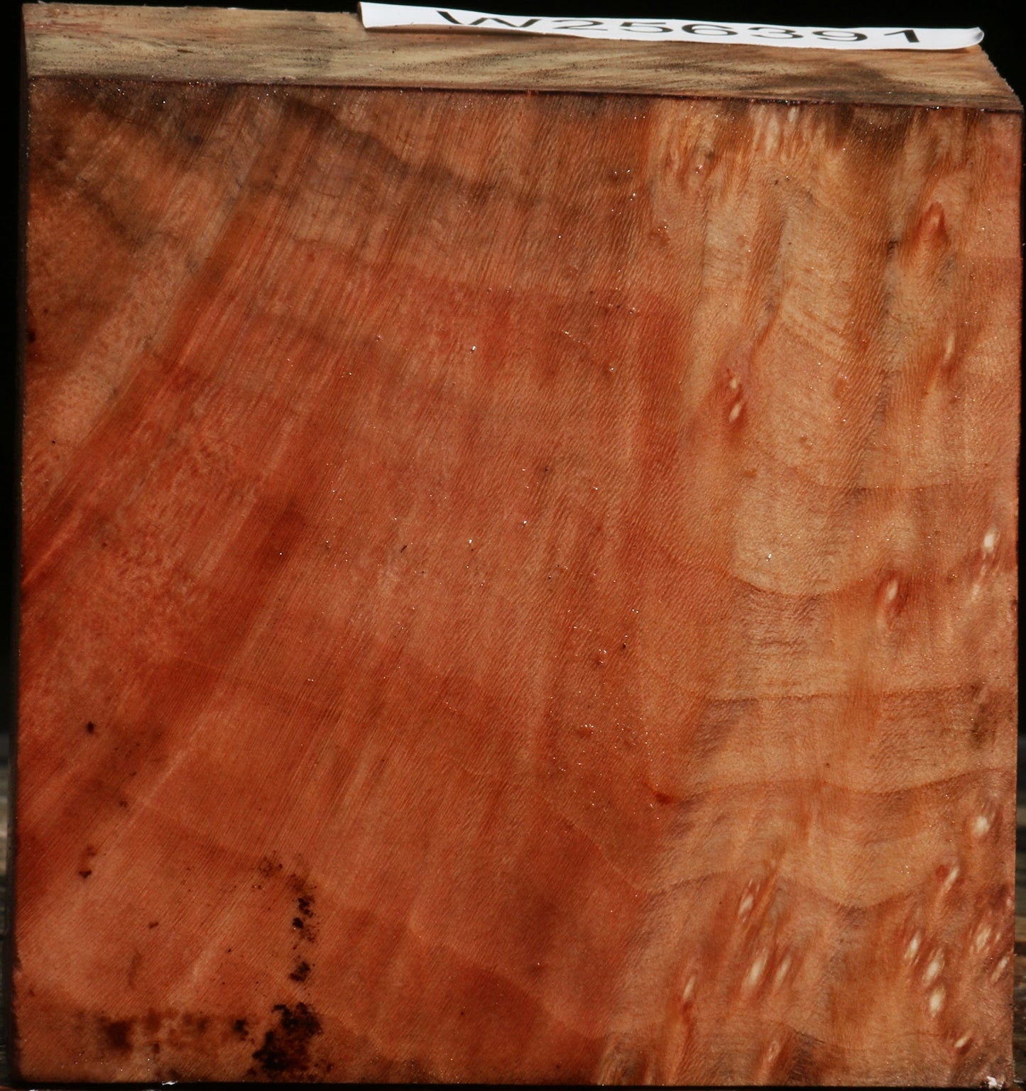 Extra Fancy Madrone Bowl Blank