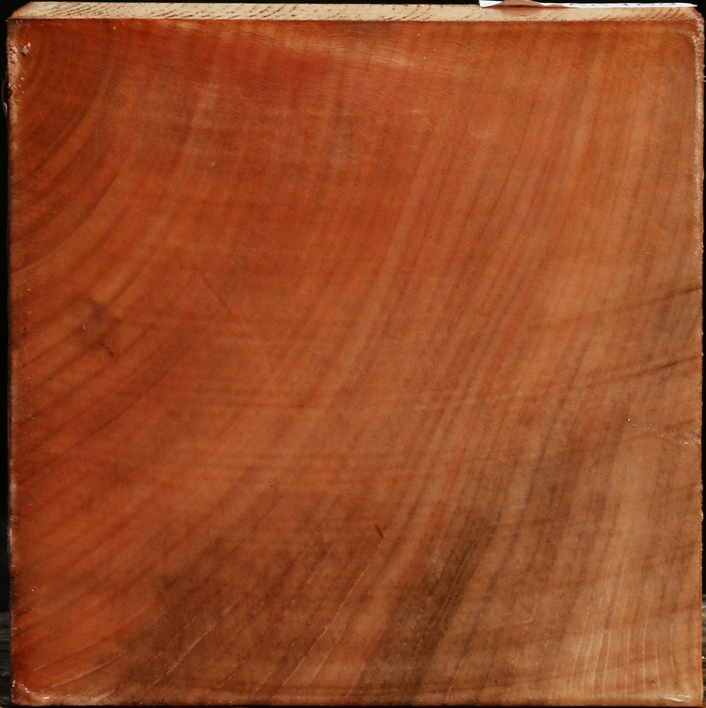 Madrone Bowl Blank