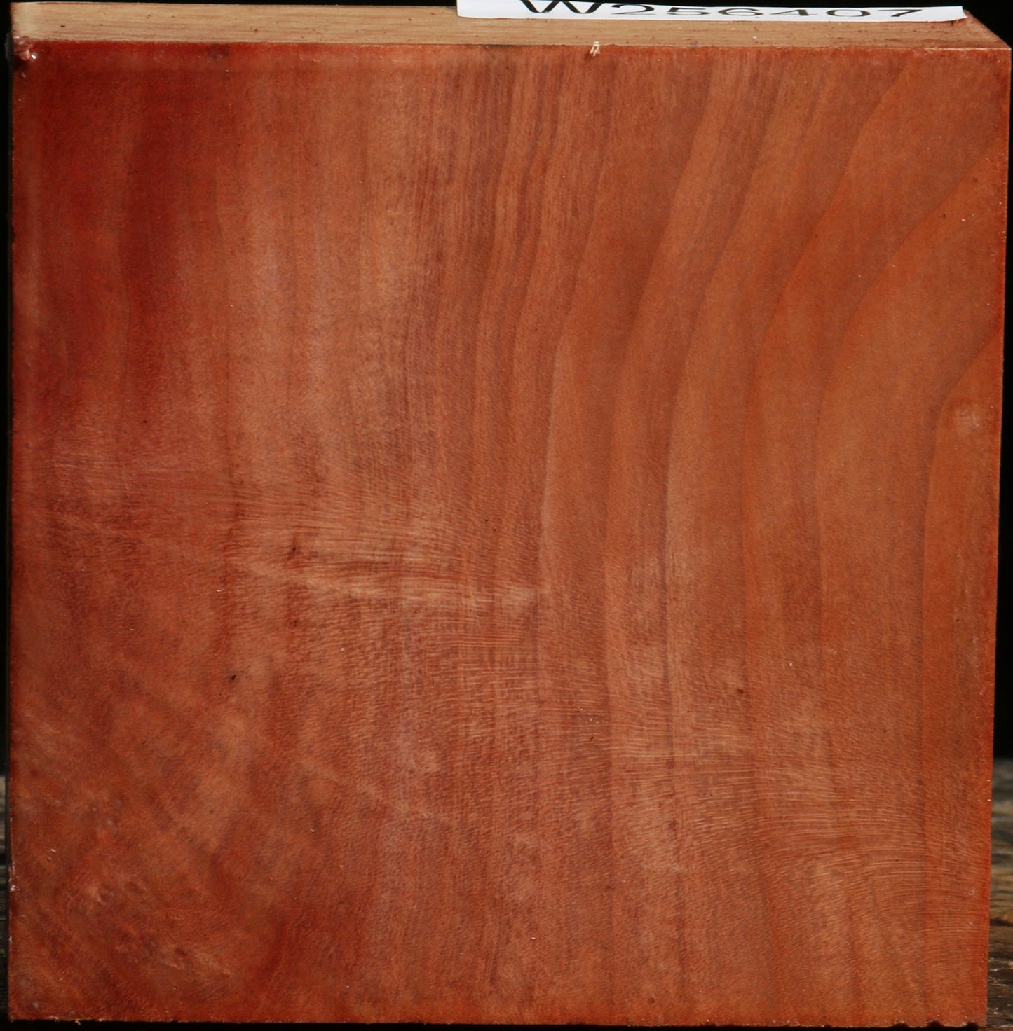 Figured Madrone Bowl Blank
