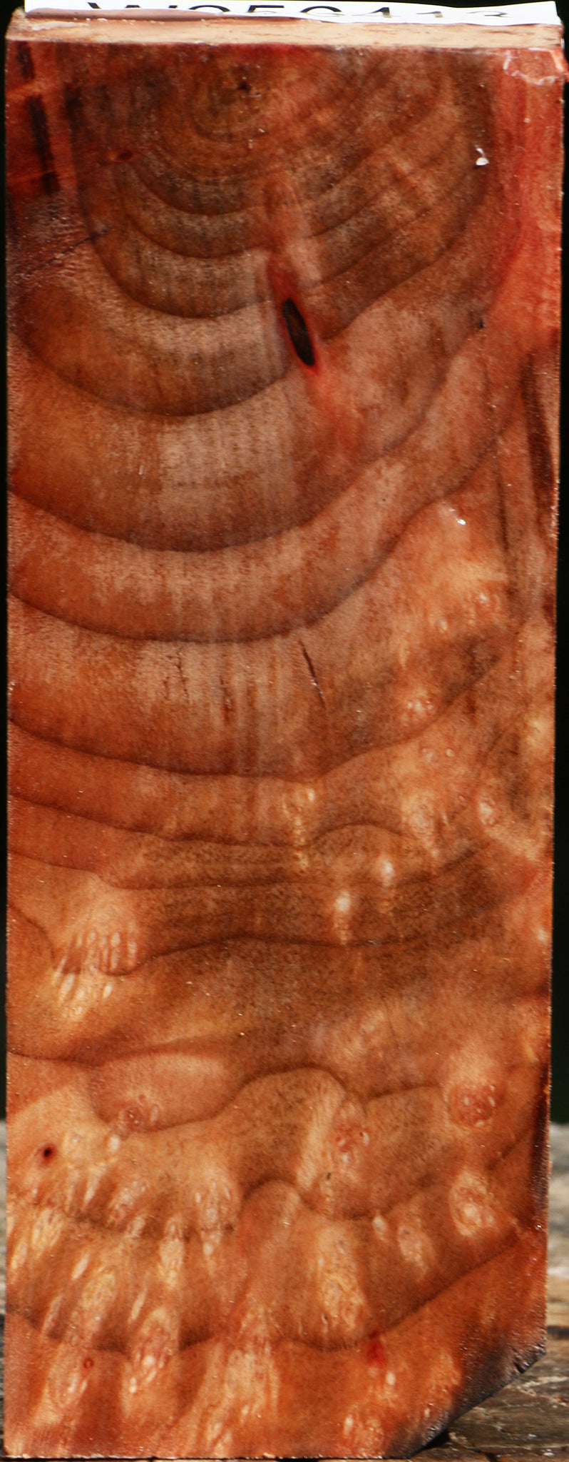 Madrone Burl Turning Blank