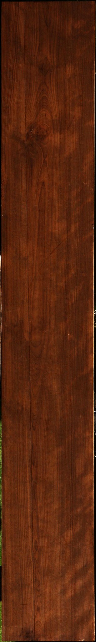 Figured Caramelized Birch Lumber