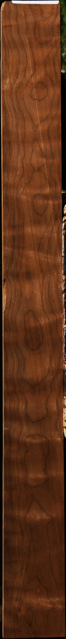 Extra Fancy Caramelized Birch Micro Lumber
