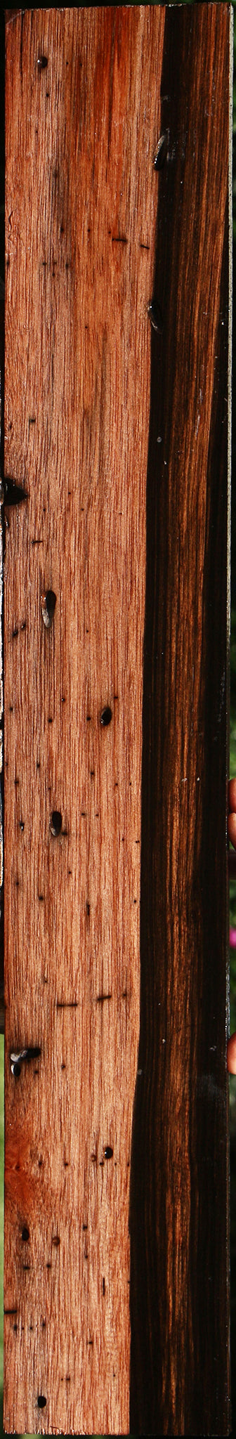 Amara Ebony Lumber