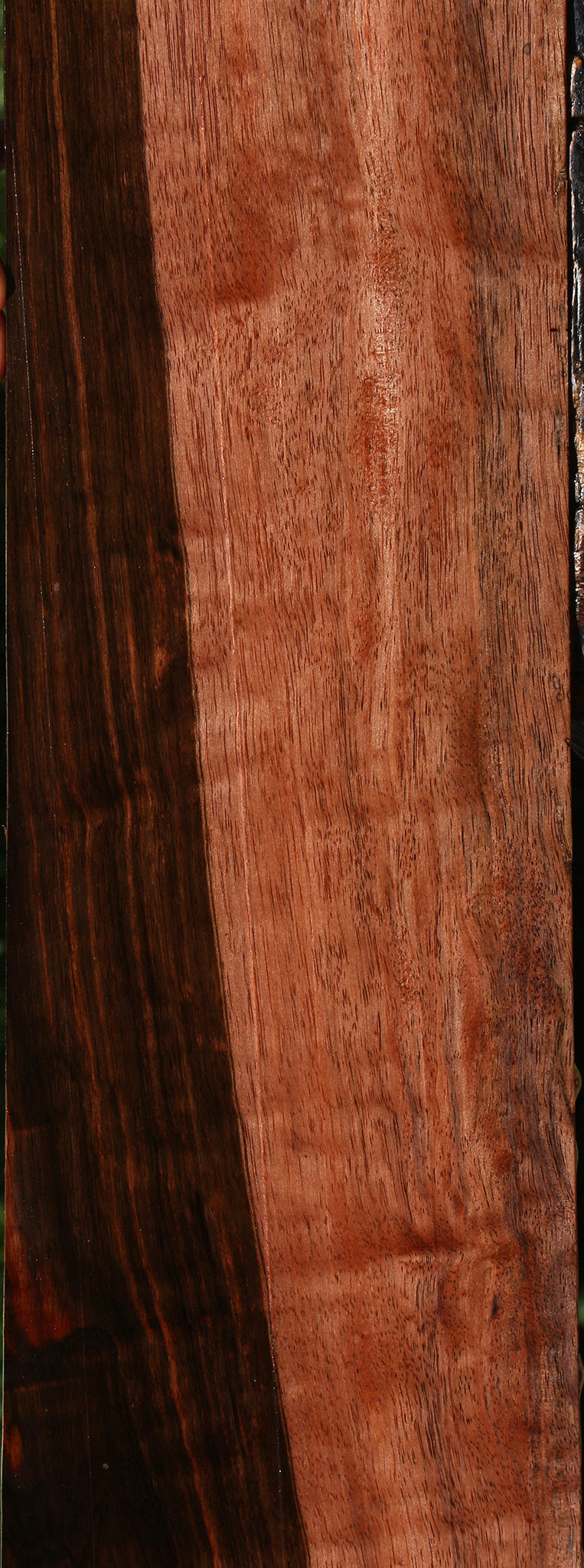 Figured Amara Ebony Lumber