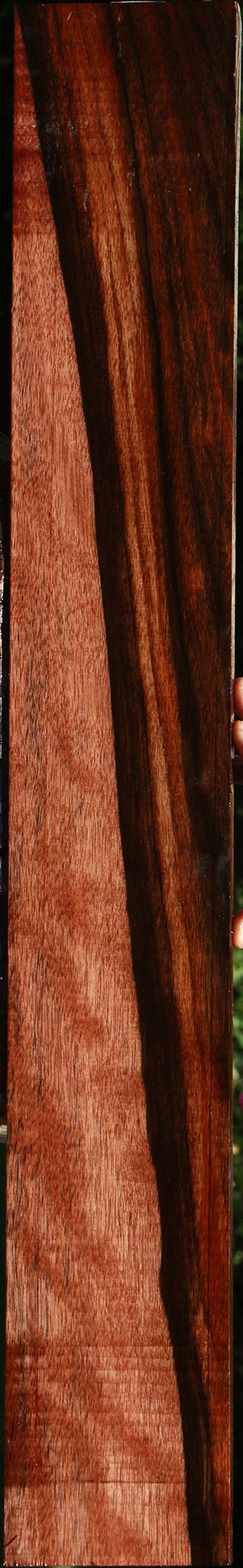 Figured Amara Ebony Lumber