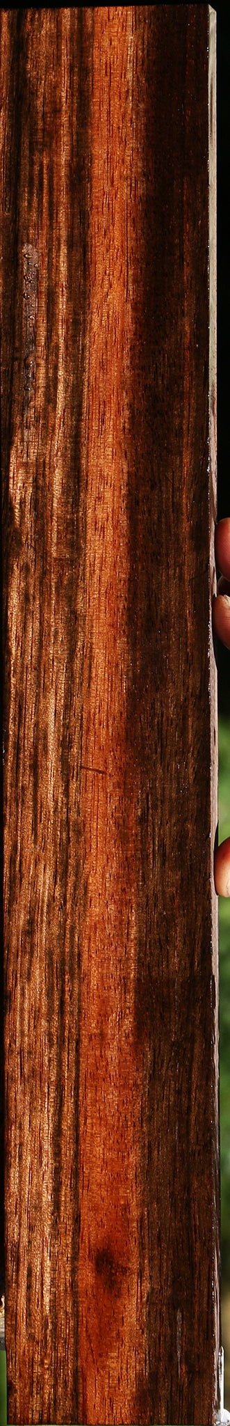 Amara Ebony Lumber