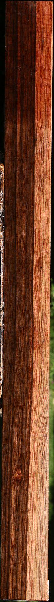 Amara Ebony Micro Lumber