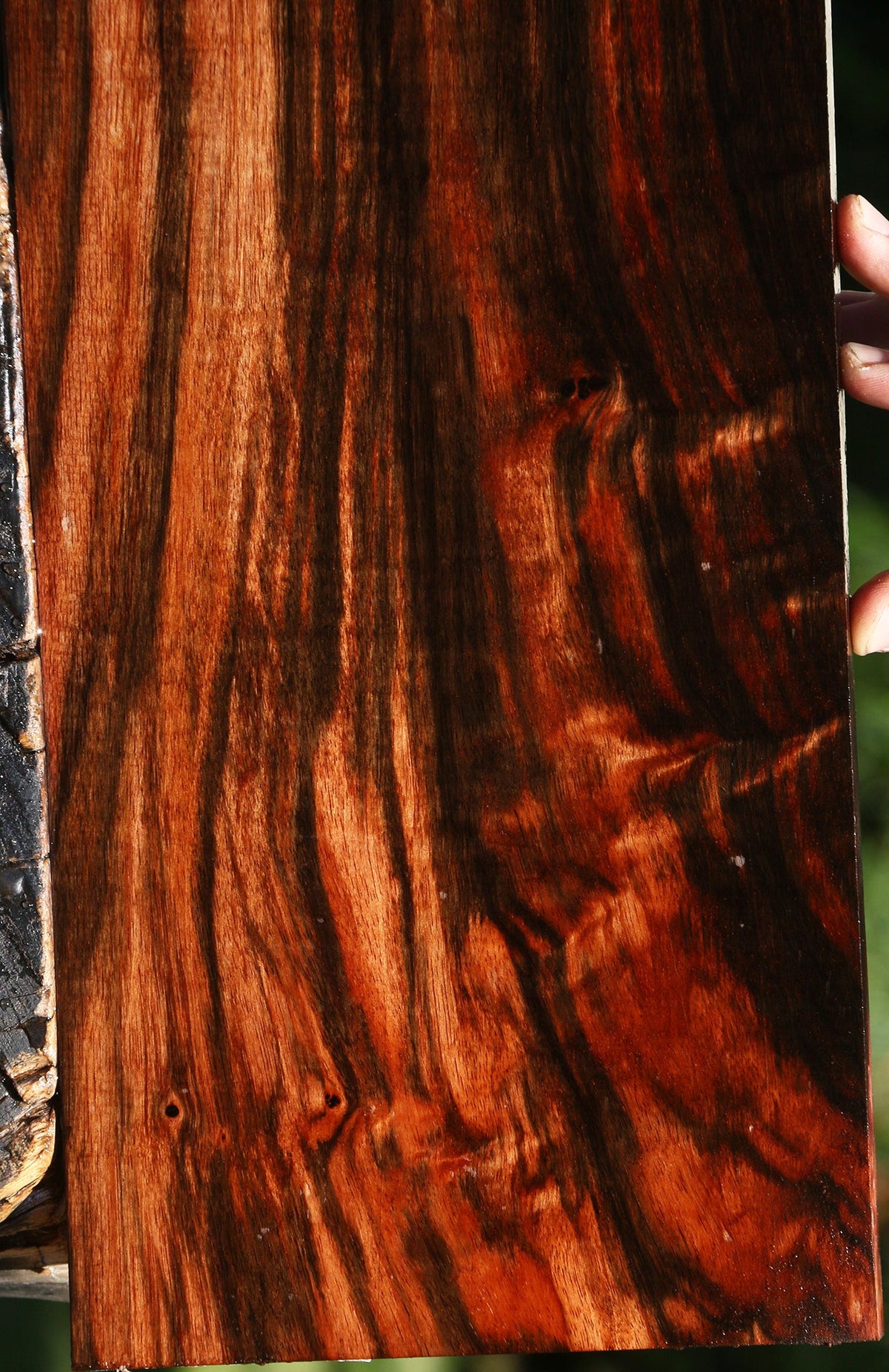Extra Fancy Amara Ebony Lumber
