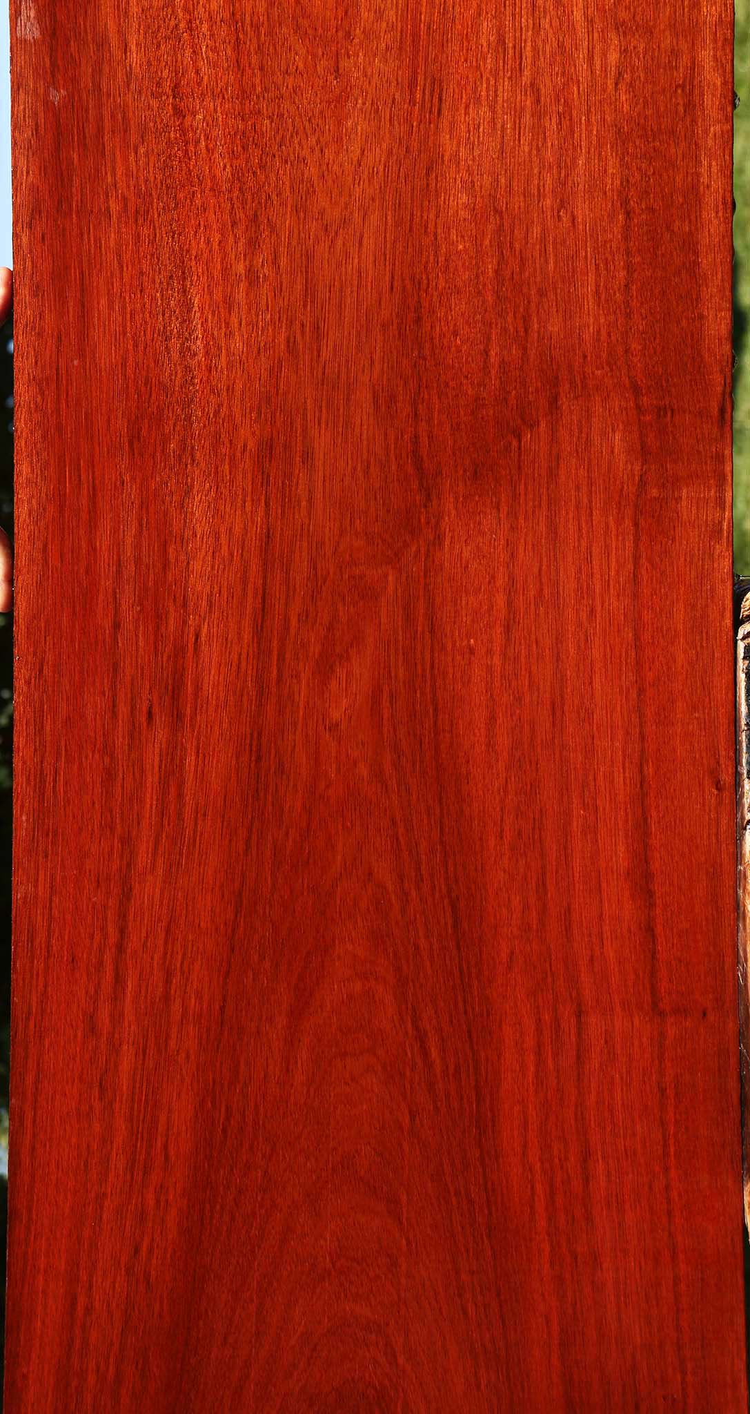 Bloodwood Lumber