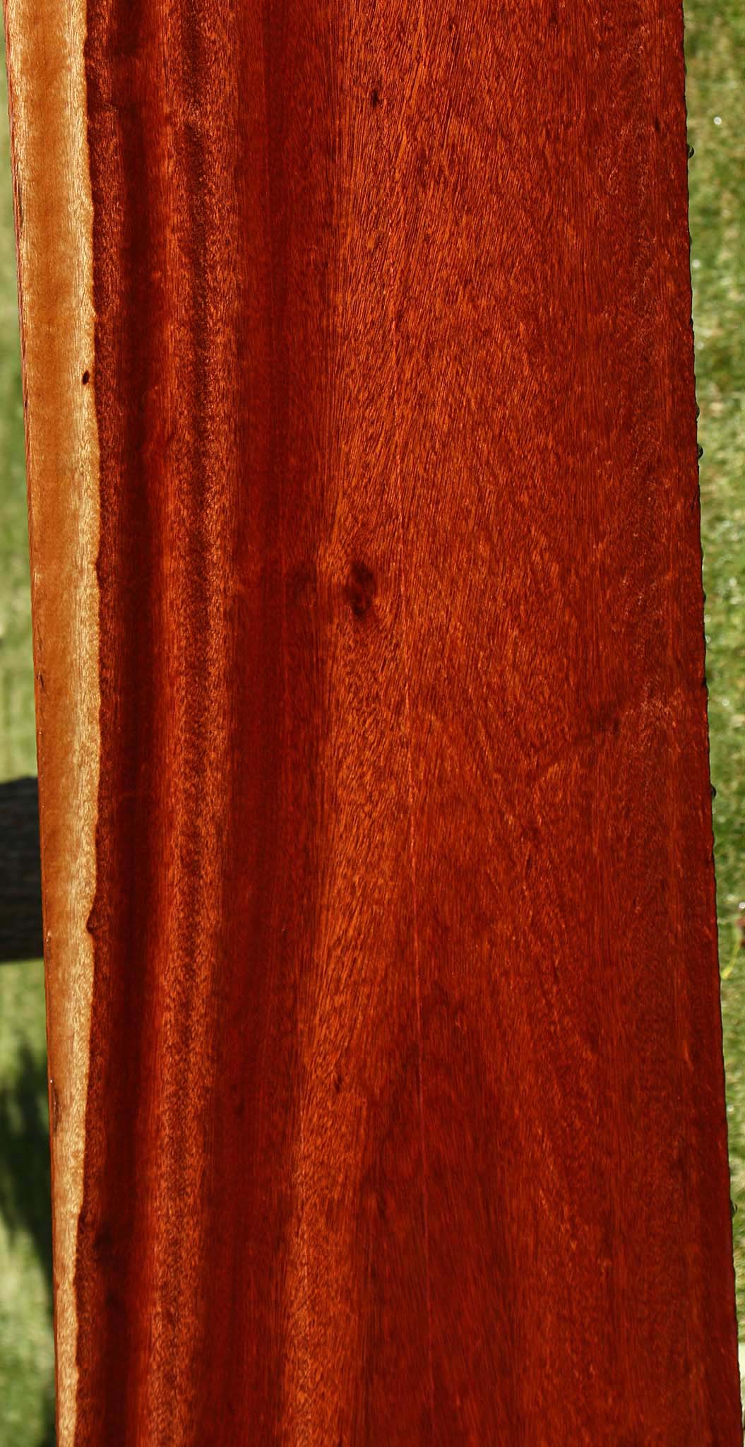 Figured Bloodwood Lumber