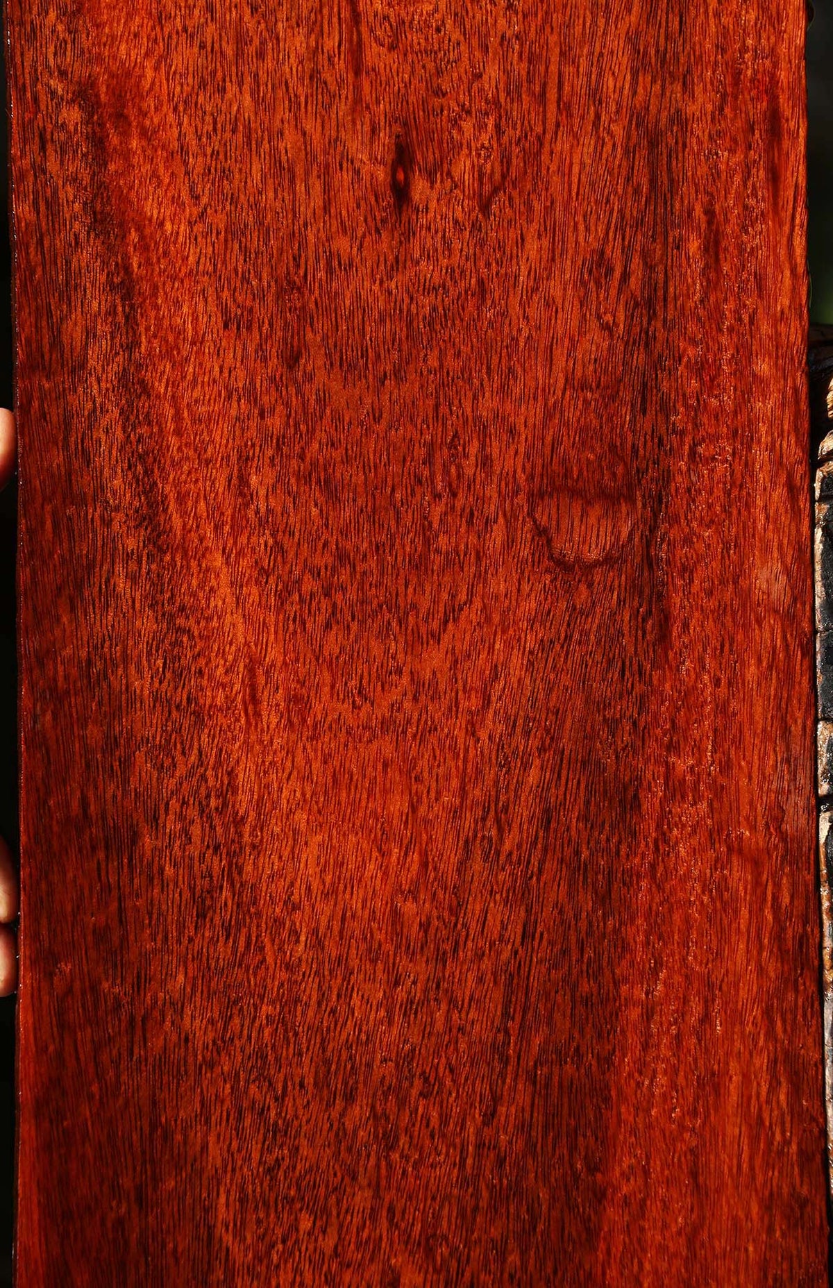 Extra Fancy Bloodwood Lumber