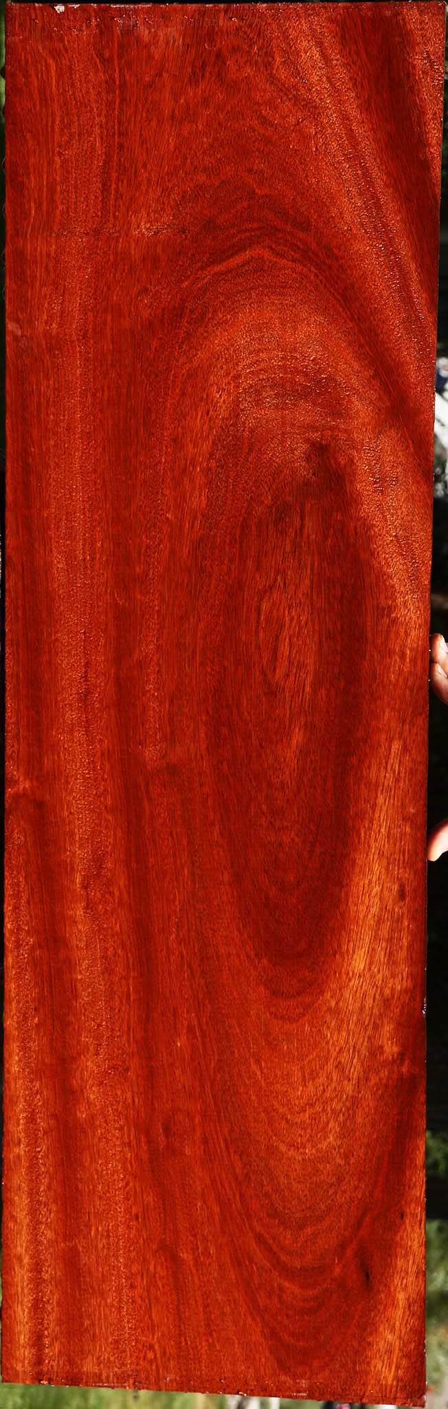 Figured Bloodwood Lumber