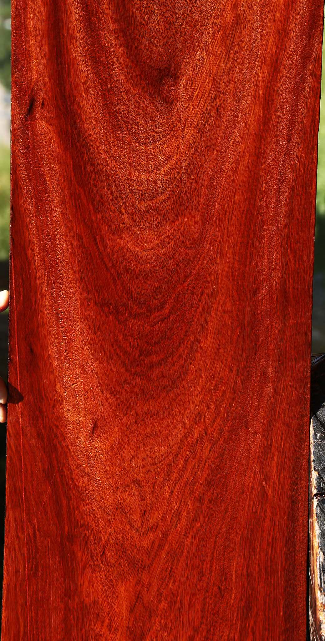 Figured Bloodwood Lumber