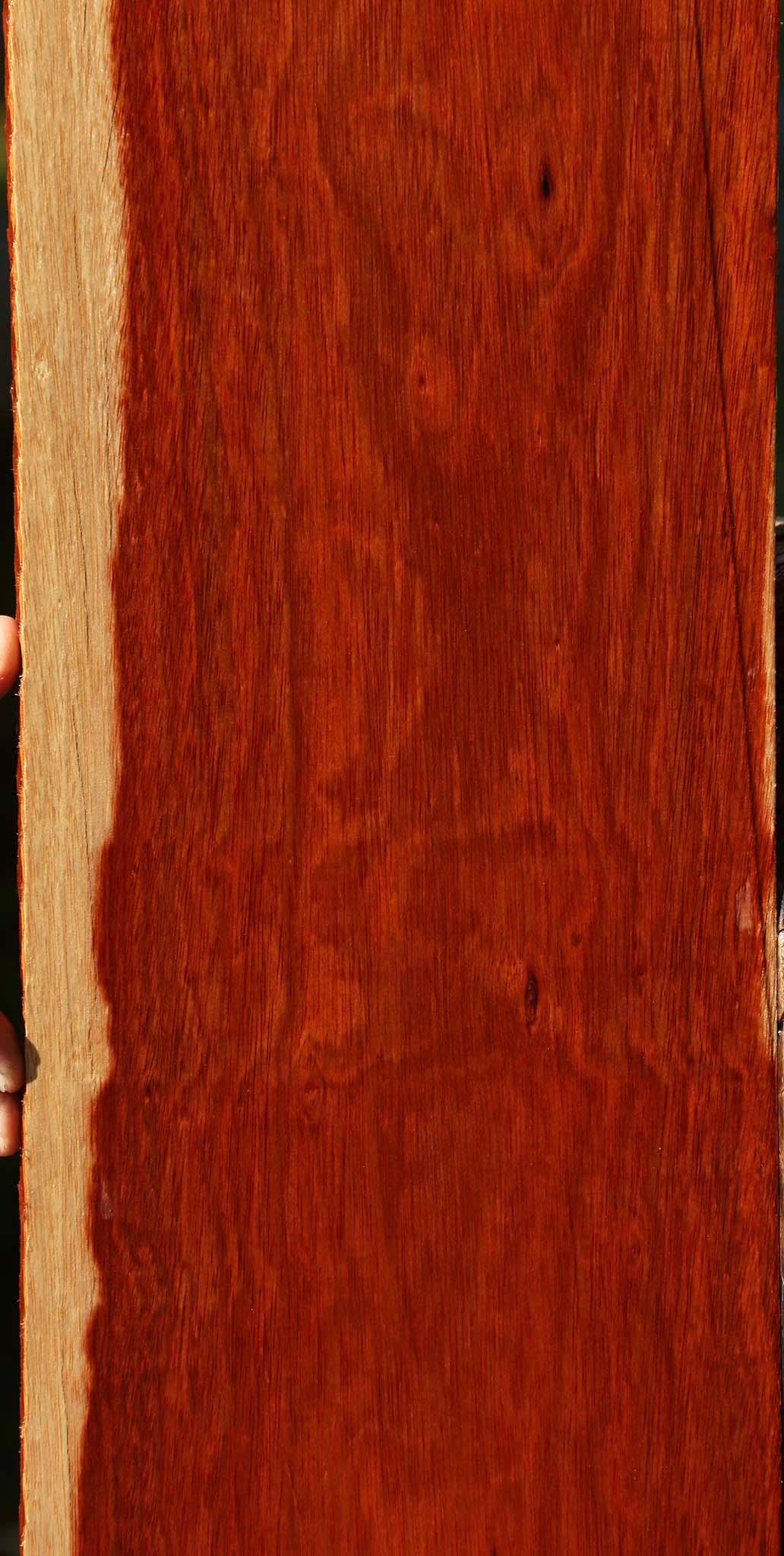 Figured Bloodwood Lumber