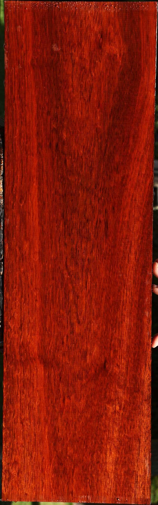 Figured Bloodwood Lumber