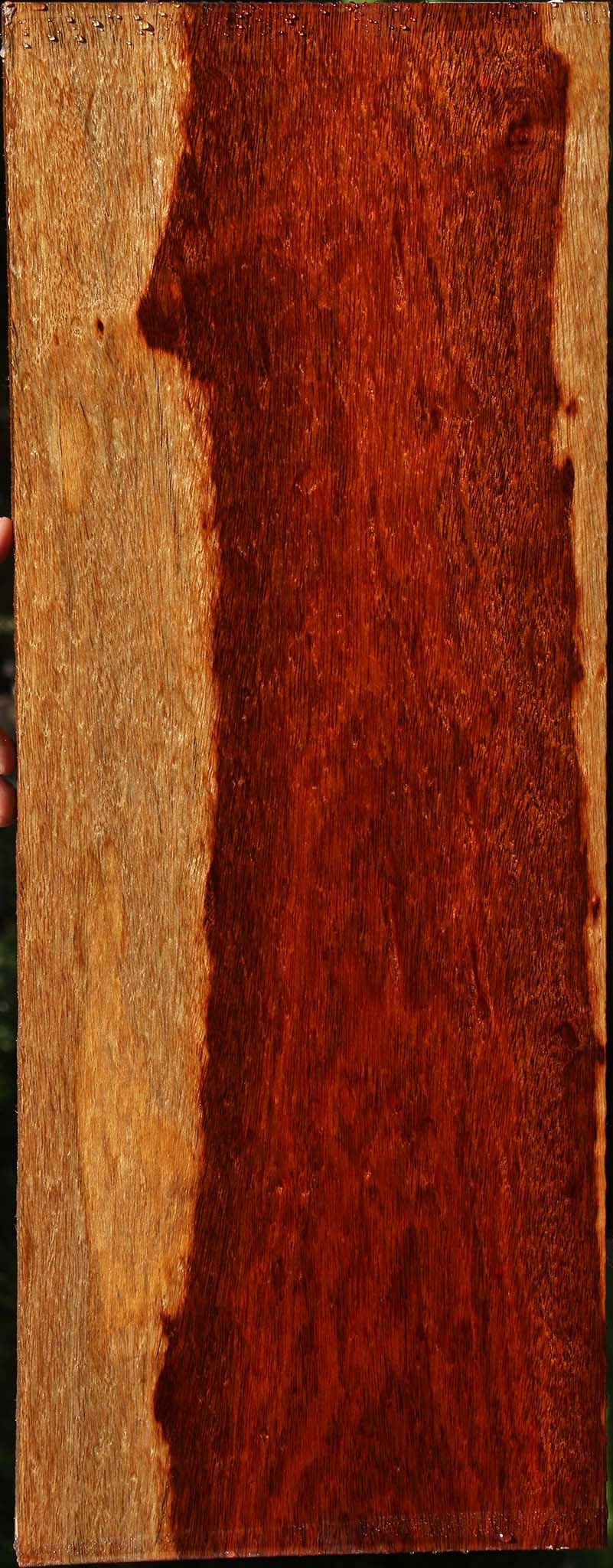 Extra Fancy Bloodwood Lumber