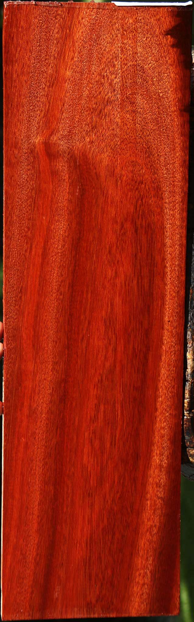 Bloodwood Micro Lumber