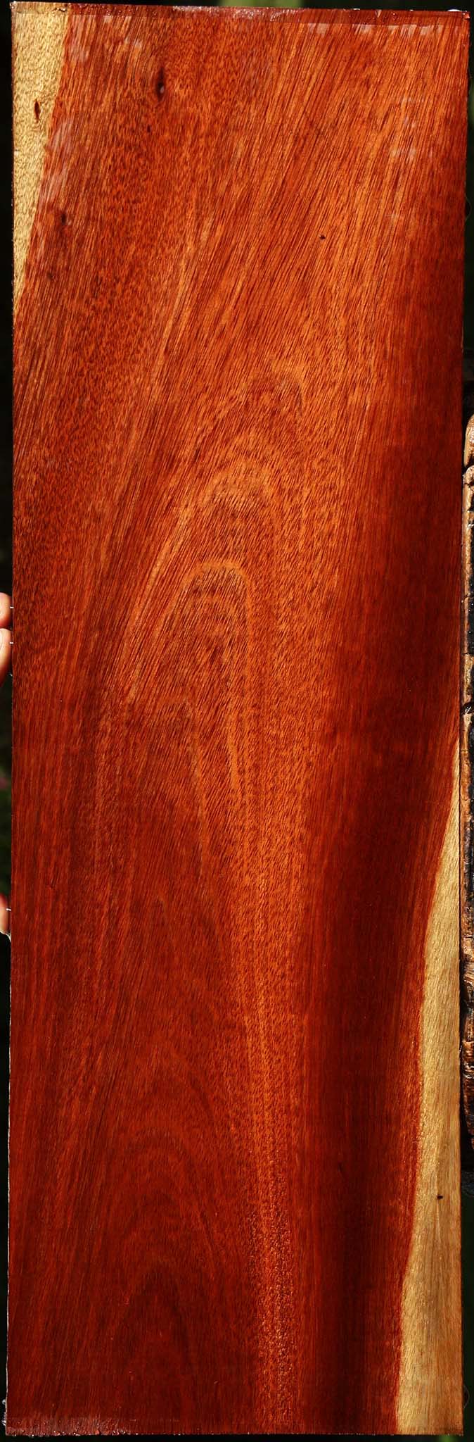 Bloodwood Lumber